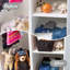 Panier de plastique-49405289-16393603-16393594