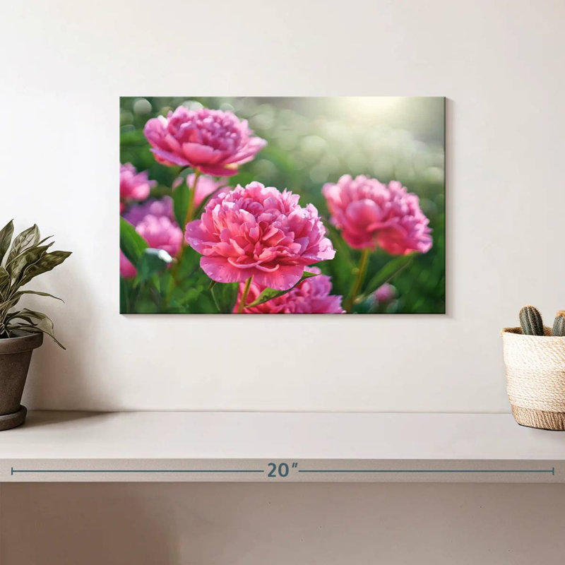 Harnek pivoines roses ensoleillées, H 8 po x l 12 po