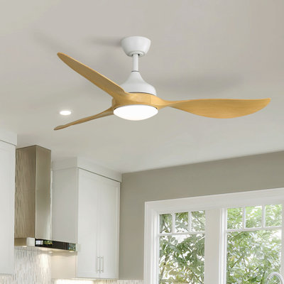 56 Inch Modern Ceiling Fans Dimmable LED Light Quiet DC Reversible Motor For Indoor & Outdoor