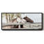 Friendly Visit- Framed Canvas-111490521