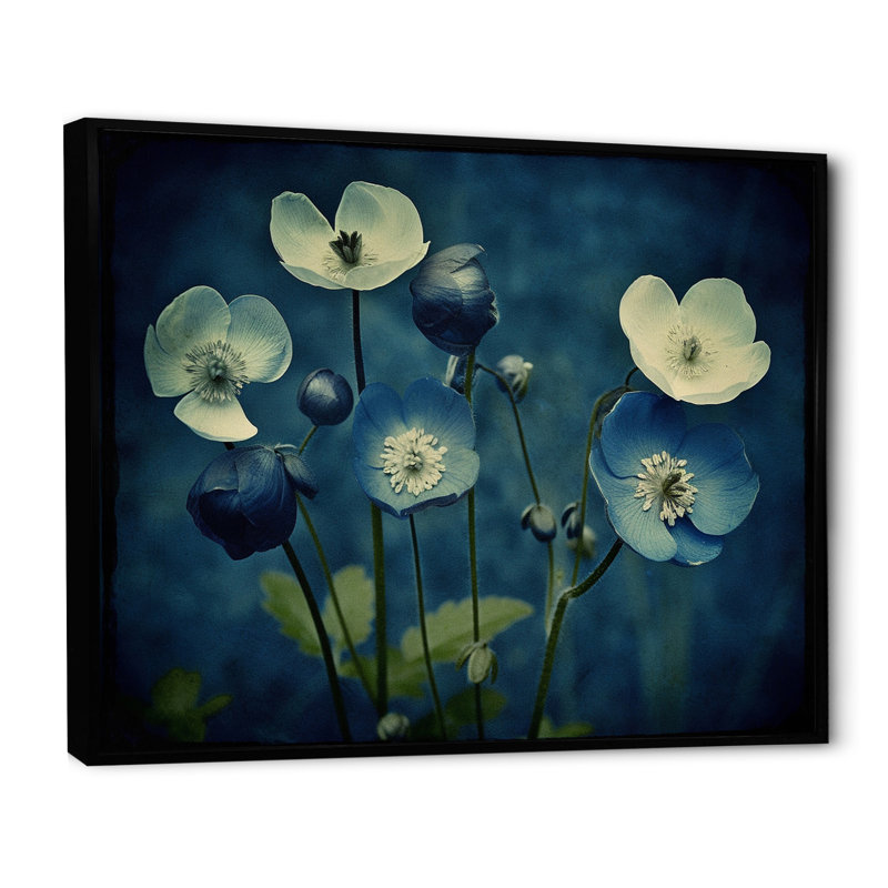 «Blossoming Buttercup Flowers» - impression rétro, Cadre flottant noir, H 12 po x l 20 po x P 1 po