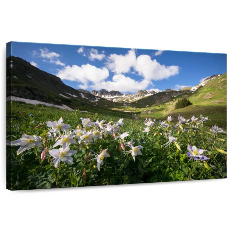Harnek Columbine Flower Field, 34" H x 51" W