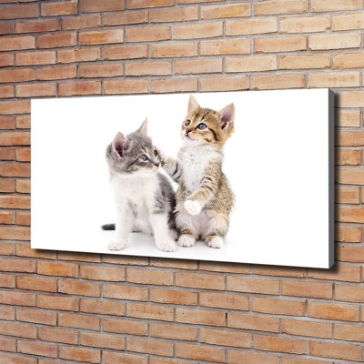 Two Small Cats - Wrapped Canvas Print