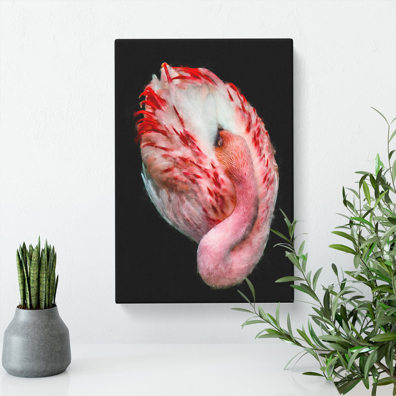 Curled Flamingo - Wrapped Canvas, 60cm H x 40cm W x 3cm D
