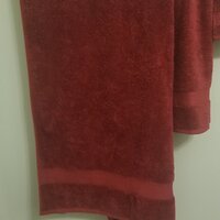 Red Barrel Studio® Raaed 10 Piece 100% Cotton Towel Set & Reviews