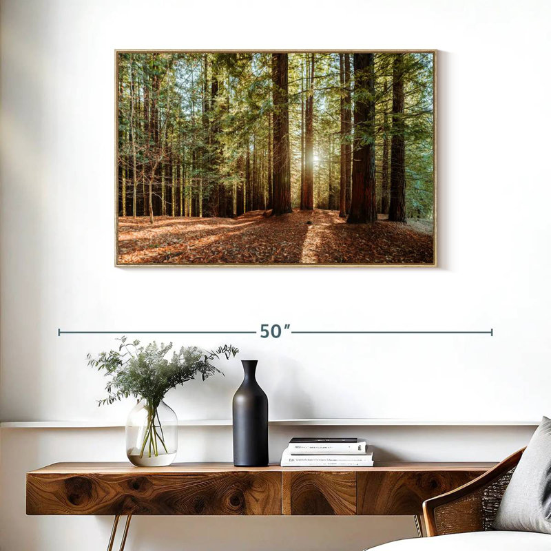 Séquoia avec rayons de soleil, Cadre flottant en bois naturel, 37 po x 25 po
