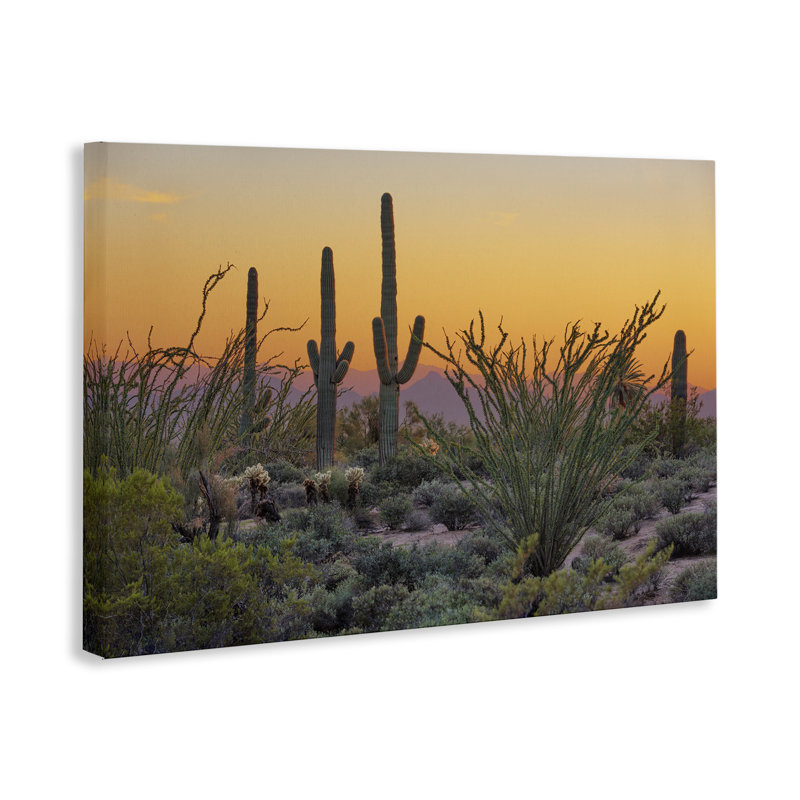 «Sunset Sunset Desertscape Cacti» par Marty Hulsebos, H 20 po x l 30 po