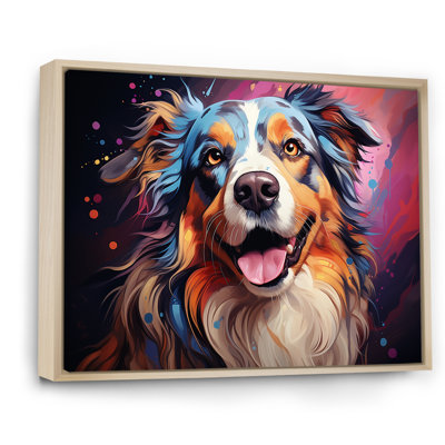" Dog Australian Shepherd Allure III "