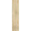 Artisan Funston de Funston-109296349