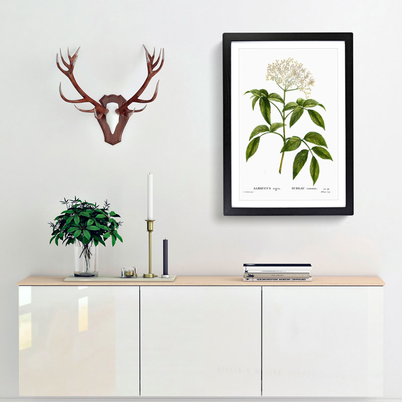 Elderflower Tree by Pierre-Joseph Redoute - Picture Frame Painting Print, 65cm H x 48cm W x 2cm D, Black Framed