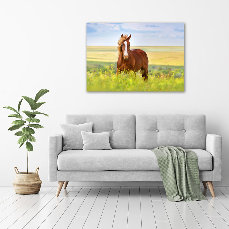 Brown Horse - Wrapped Canvas Print