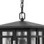 Tucker Museum Black 1 -Bulb 17.5" H LED Outdoor Hanging Lantern-904119321