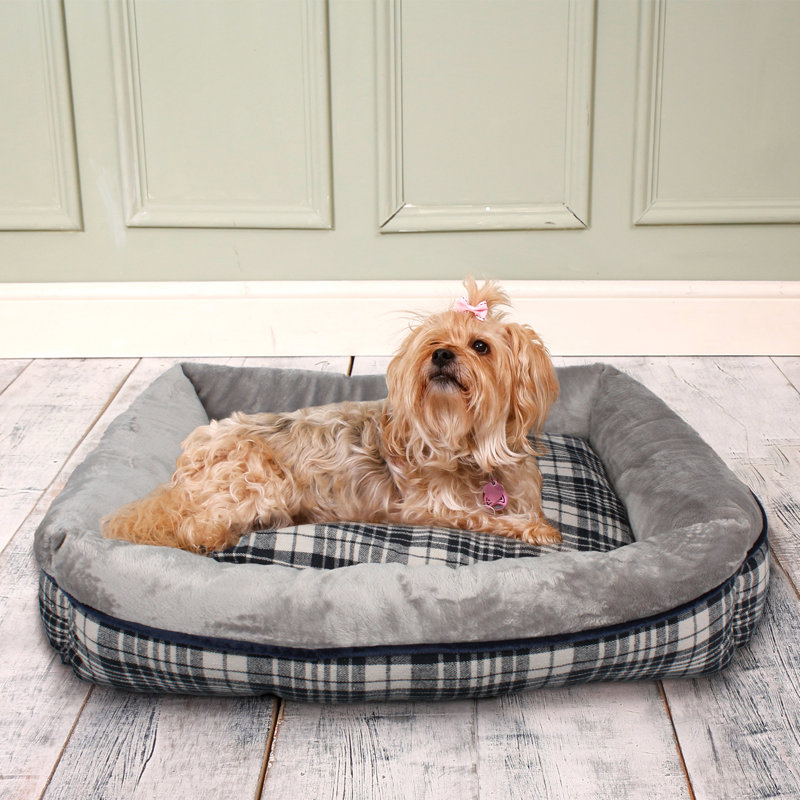 Winford Polyester Pet Bed, Medium