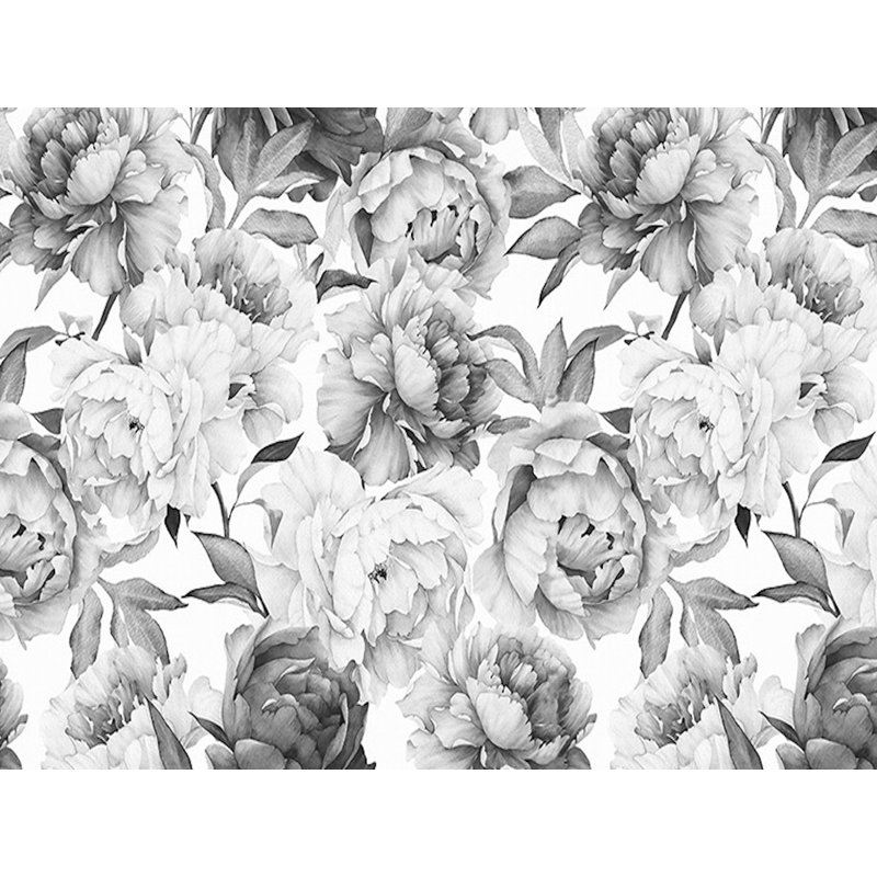 Papier peint pivoine monochrome Arnis, l 75 po x L 49 po