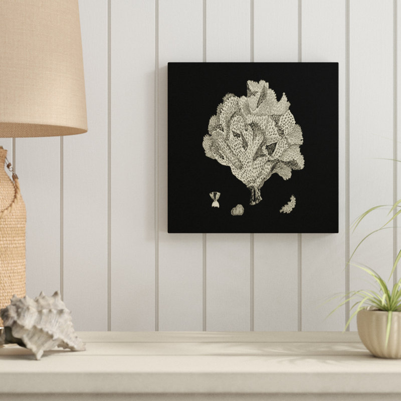 Black And Tan Coral IV by Vision Studio - Wrapped Canvas Print, 30cm H x 30cm W