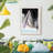 Neysa -Gallery Wrapped Canvas-798807051-798807050