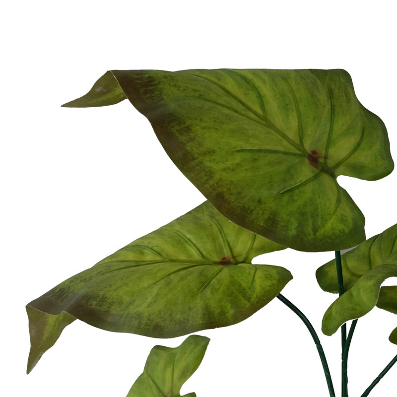 Andarius Arrangement