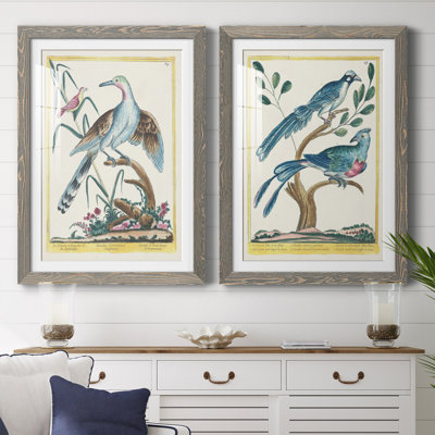 Pastel Birds V Premium encadré mat - prêt à être accroché