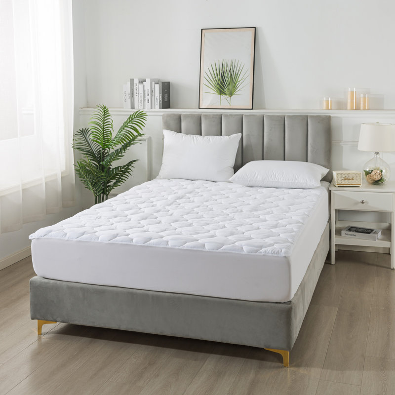 Starkes Alwyn Home 1, Grand