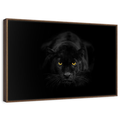 Rare Black Panther