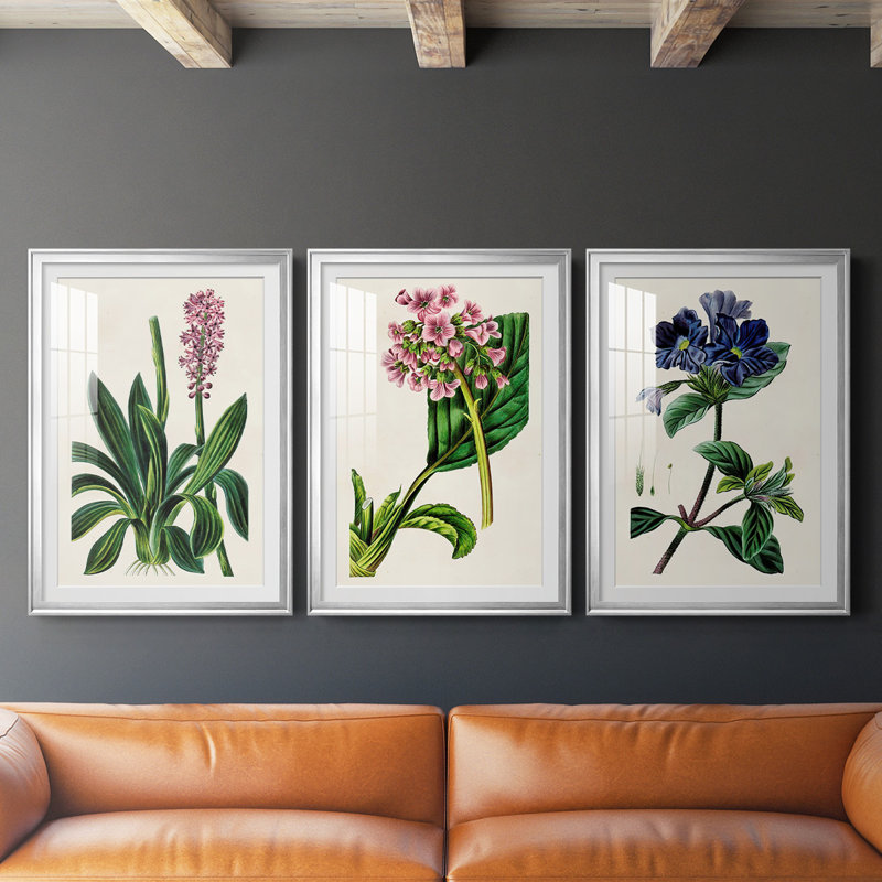 Reproduction encadrée antique de qualité florale II - prête à être accrochée, H 42,5 po x l 61 po, Cadre argenté