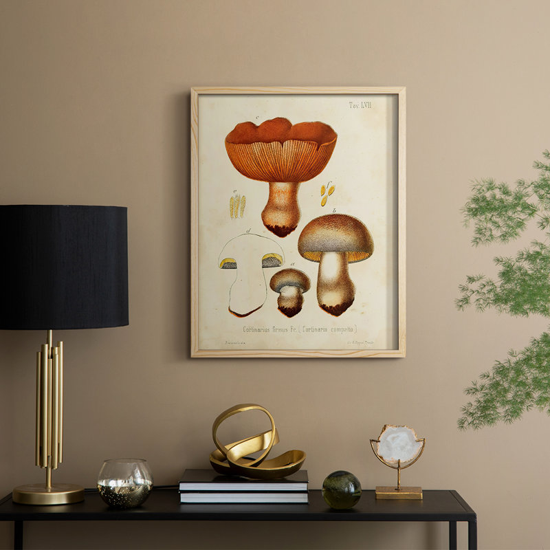 Champignon Variétés I, reproduction encadrée - bois massif, H 21 po x l 17 po