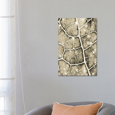 Eco Gold I by Kimberly Allen - Wrapped Canvas Print
