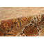 Canvello Tabriz Hand-Knotted Lamb's Wool Area Rug- 9' X 11'11"