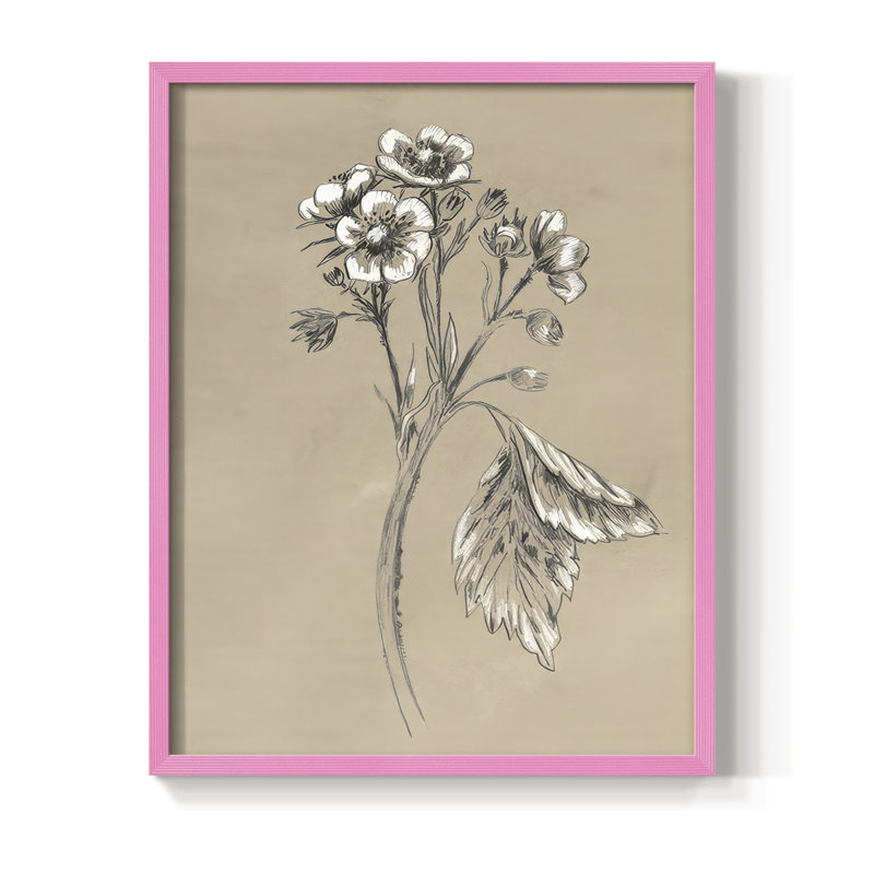 Reproduction encadrée rétro en botanique II, H 21 po x l 17 po, Rose