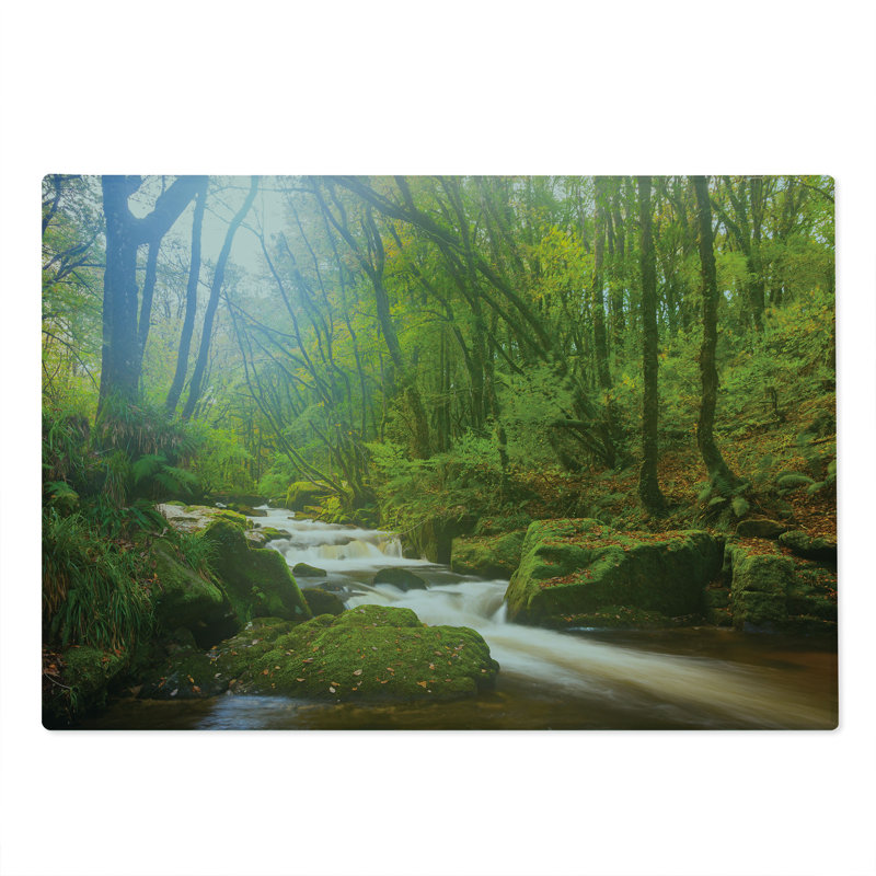 Ambesonne Green Cutting Board Large Size Forest at Golitha Falls Green Brown