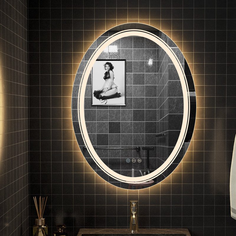 LED Lighted Bathroom Mirror Front and Backlit Lights Anti-fog Dimmable Color Temperature Adjustable, 27.56" x 19.7"