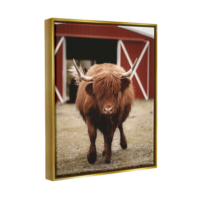 «Trots Highland», photo sur toile flottante