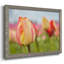 Spring Sherbet - reproduction de photo sur toile-96289870-96289871