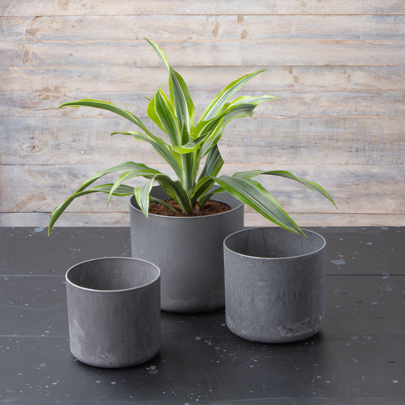 Partibha Pot Planter, Gray