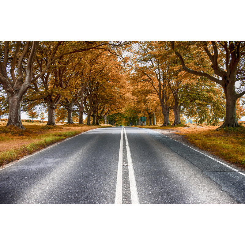 Badbury Rings - Wrapped Canvas Print, 30cm H x 46cm W x 3.8cm D