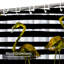 Monstera Lines Nature Palmier Spring Stripe Summer Tree Tropic Tropical avec 12 crochets-2063396919