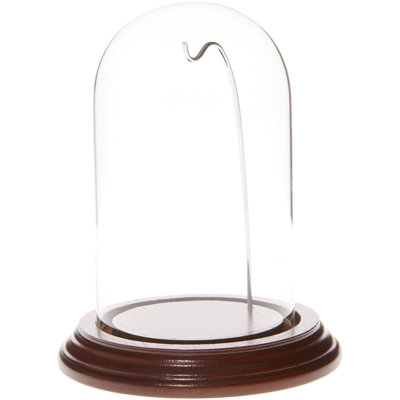 3" x 5" Watch Glass Display Dome Cloche