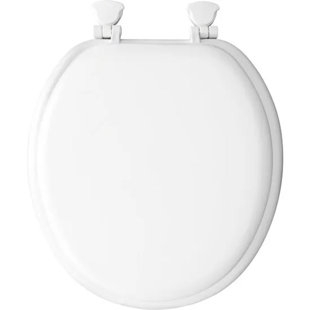 Toilet Seat and Lid