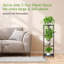 Plant Stand - Set of 4