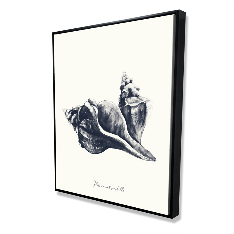 Blue Horse Conch Seashells - White Framed Canvas Decor