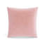 Fresco Polyester Blend Throw Square Pillow Cover-83269318