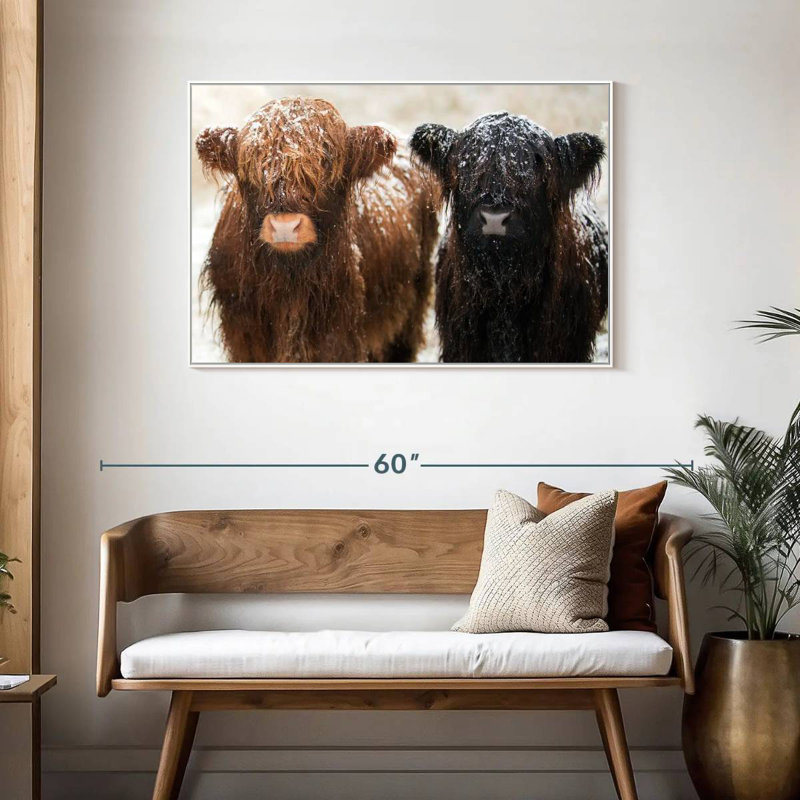 Poilu Highland Cows, Cadre flottant blanc, 43 po x 29 po