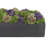 Sedum Arrangement in Planter-1706041390-1706041391