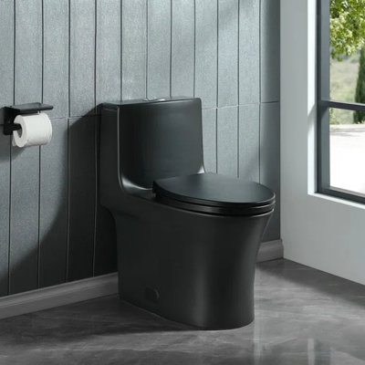 1.1/1.6 GPF Dual-Flush Elongated One-Piece Toilet with 17.32 in. Comfort Seat Height, Ceramic Glazed Surface(Soft Close Seat Included), Black