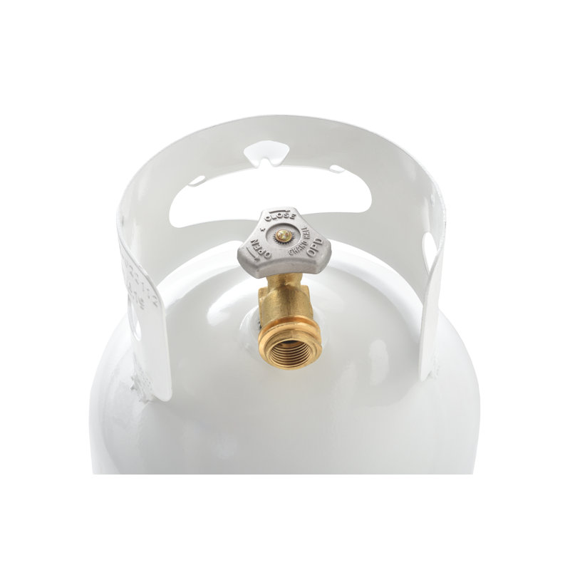 White 10 Pound Steel Propane Tank with OPD Valve