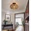 Telang Semi Flush Mount