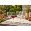 Verres à vin tout usage Maldive Classic, ensemble de 6 gobelets en verre transparent de 10,5 oz (310 ml) pour vin rouge ou blanc