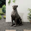 Statue léopard bronze H 23,25 po H