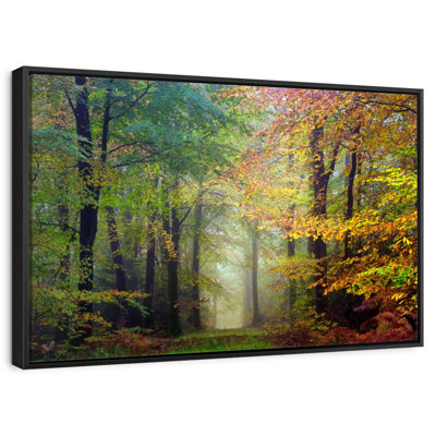 Alvord Broceliande Colored Forest