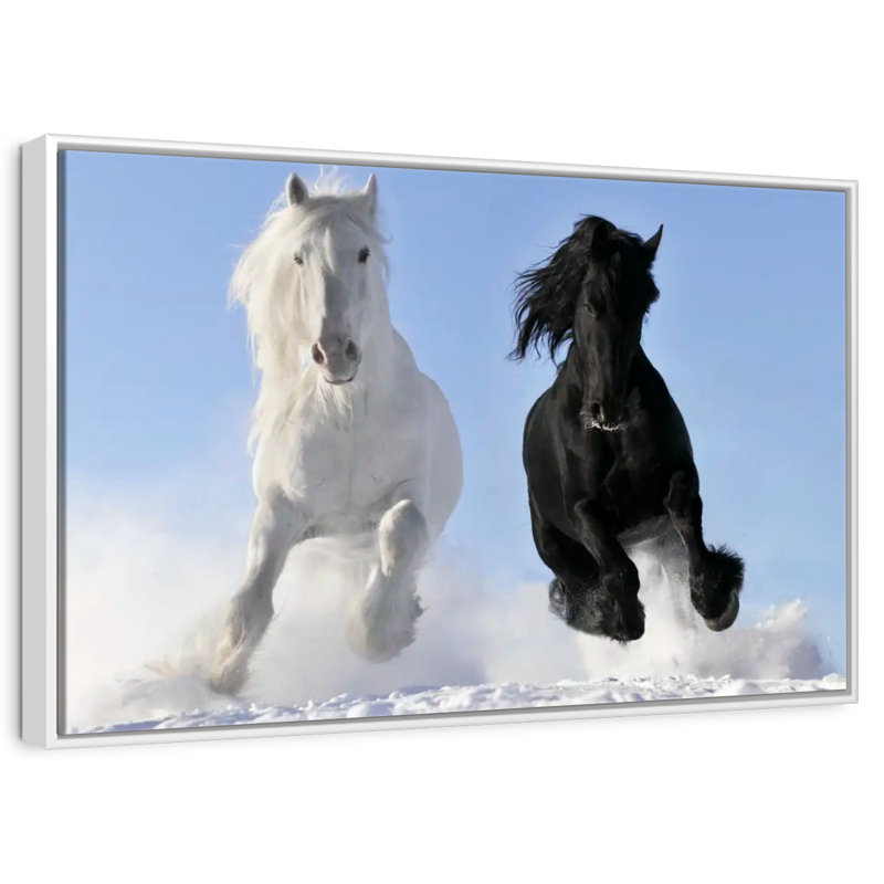 Chevaux frison d'hiver, Cadre flottant blanc, 13 po x 9 po